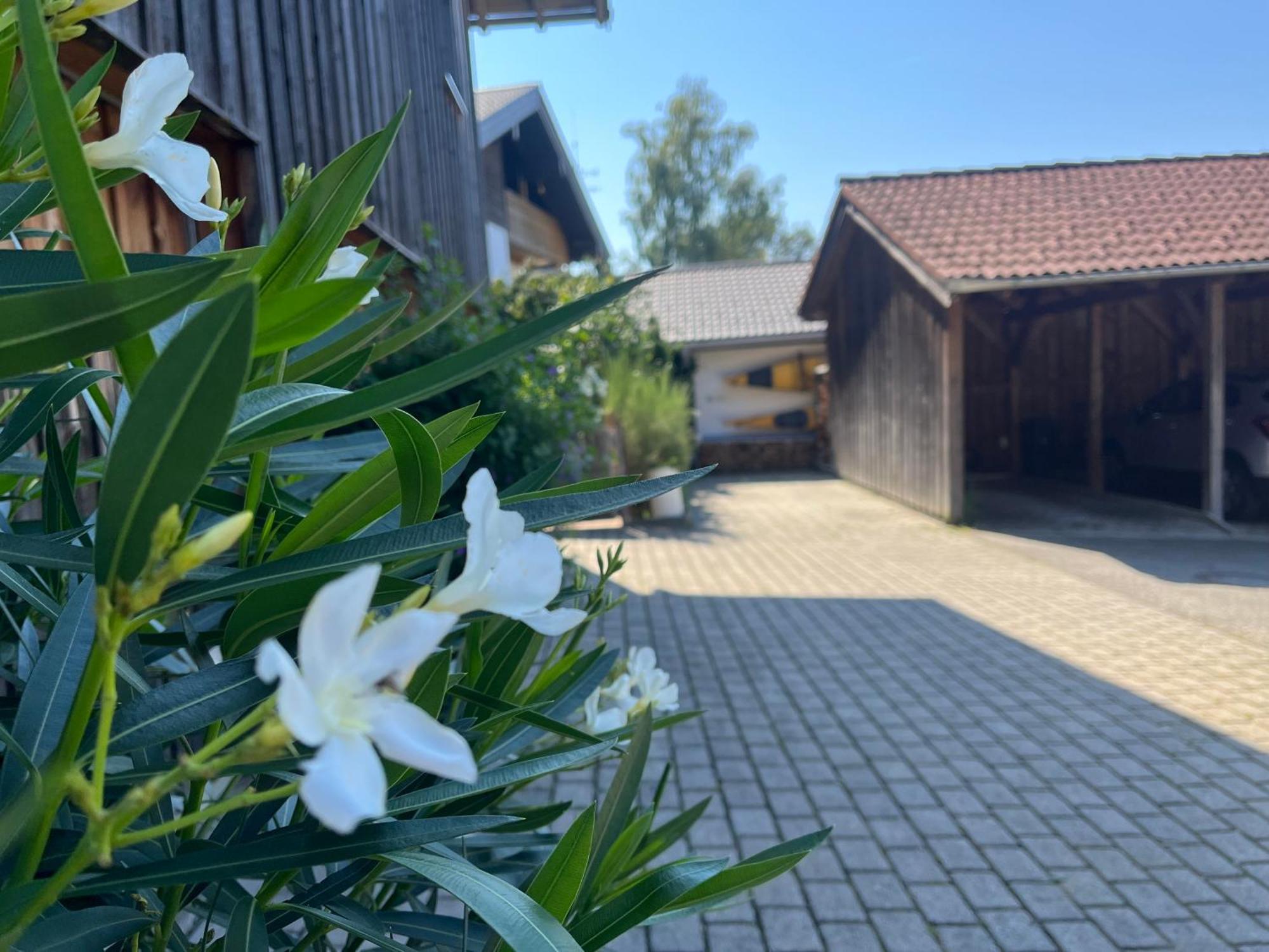 Vogtareuth Apartment Wohlfuehlplatzl - Urgemuetlich & Ruhig מראה חיצוני תמונה